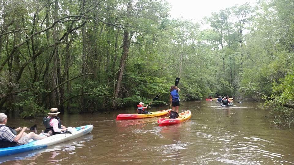 Northwest River Natural Area Preserve (Chesapeake) Adventure Kayak Tours