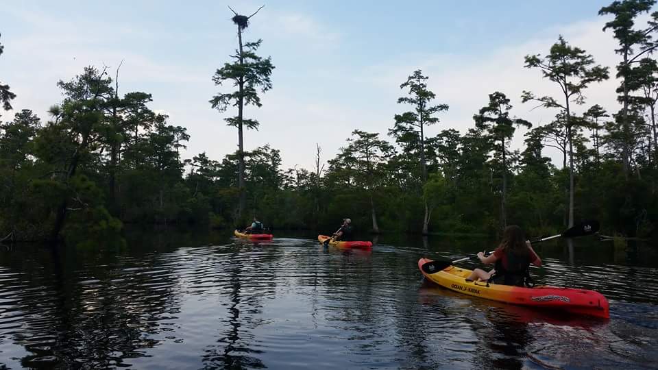 West Neck Creek/North Landing River/Pocaty River (Virginia Beach