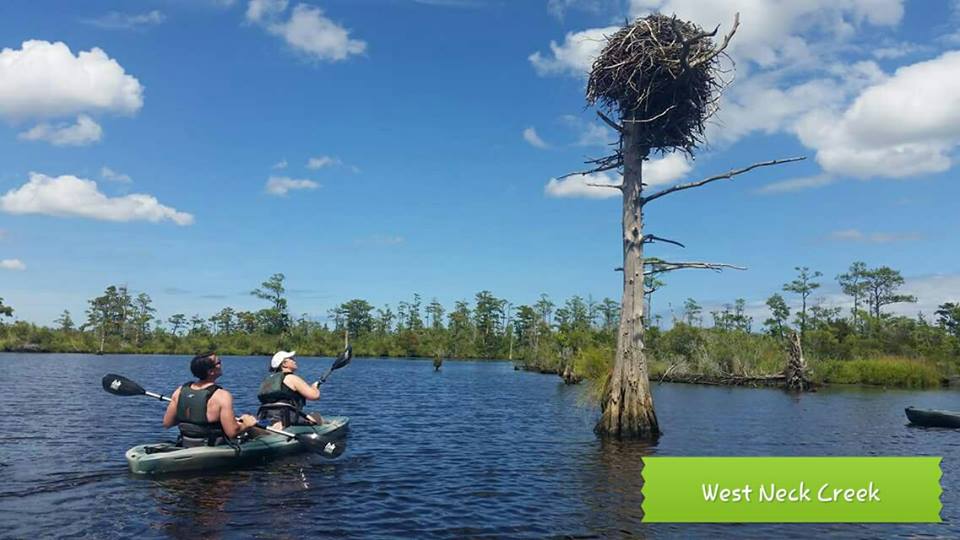 West Neck Creek/North Landing River/Pocaty River (Virginia Beach