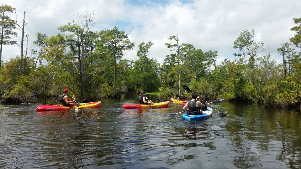 West Neck Creek/North Landing River/Pocaty River (Virginia Beach ...